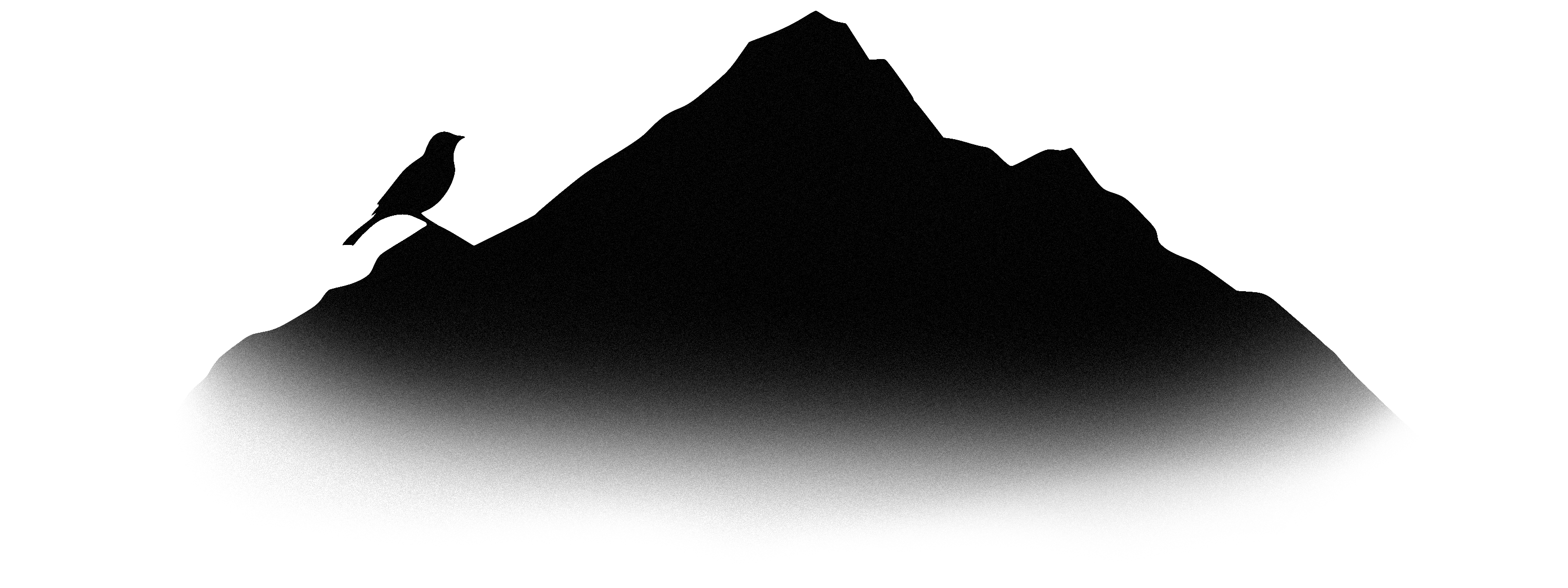 Illustration montagne et oiseau